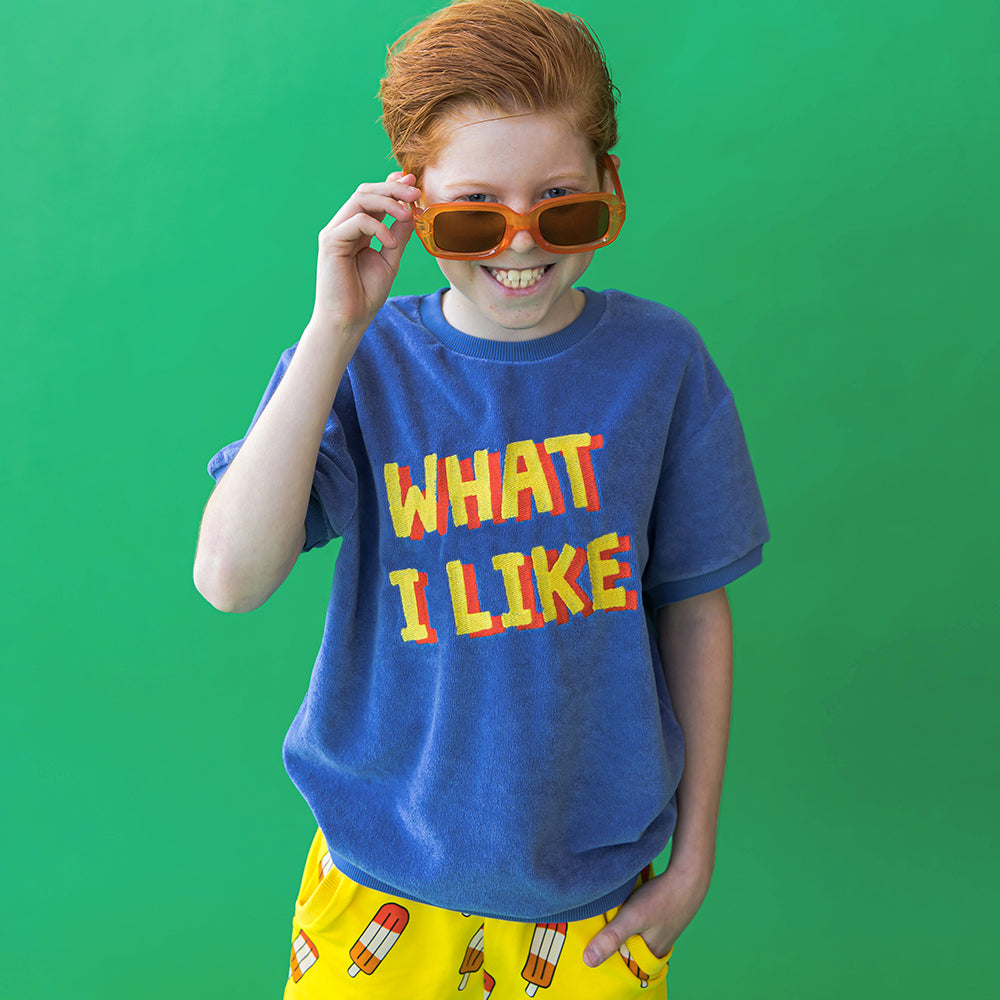 What I Like - Sweater Short Sleeve With Embroidery